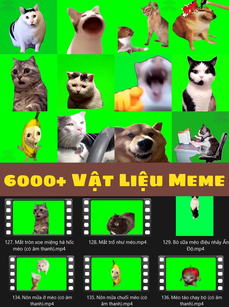 6000+ Vật Liệu Video Nền Xanh, Ảnh Xóa Nền Meme Mèo, Chó Làm Phim Tình Huống 6000+ Vật Liệu Video Nền Xanh, Ảnh Xóa Nền Meme Mèo, Chó Làm Phim Tình Huống