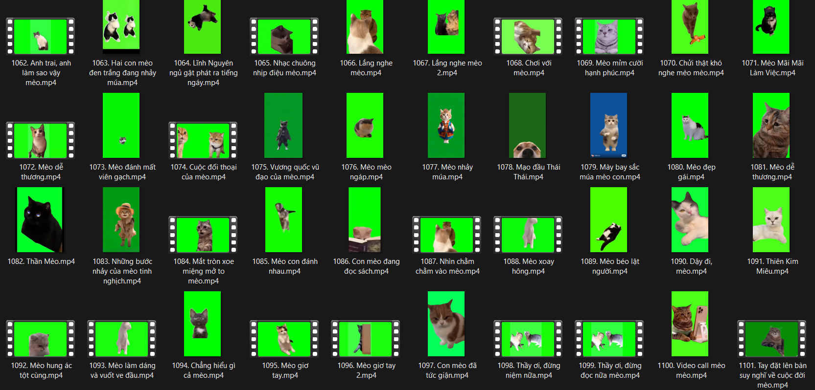 6000+ Vật Liệu Video Nền Xanh, Ảnh Xóa Nền Meme Mèo, Chó Làm Phim Tình Huống